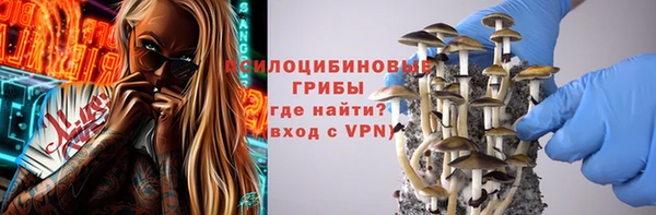 соль курить ск Михайловск