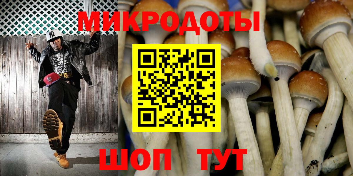 Галлюциногенные грибы прущие грибы Новокузнецк