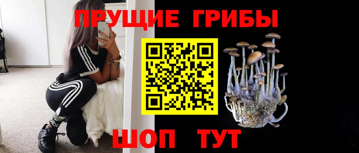 Новокузнецк  закладка  Вход с VPN  Псилоцибиновые грибы MAGIC MUSHROOMS 
