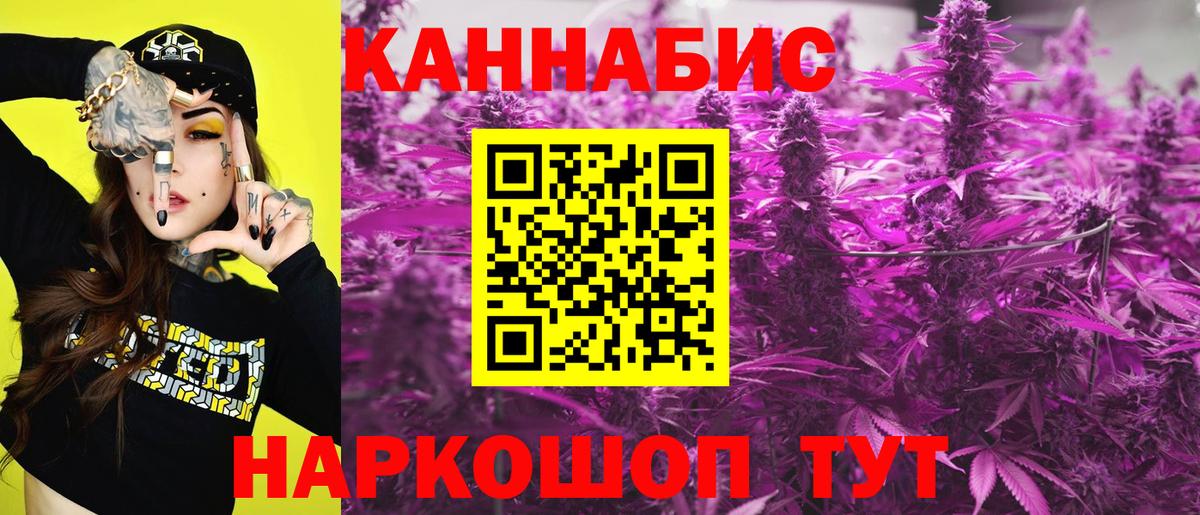 Канабис гибрид Новокузнецк